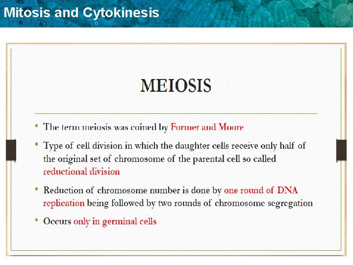 Mitosis and Cytokinesis 