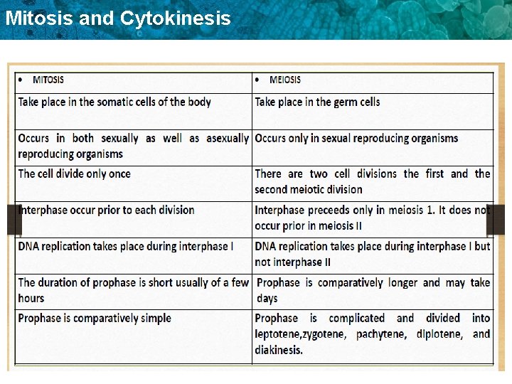 Mitosis and Cytokinesis 