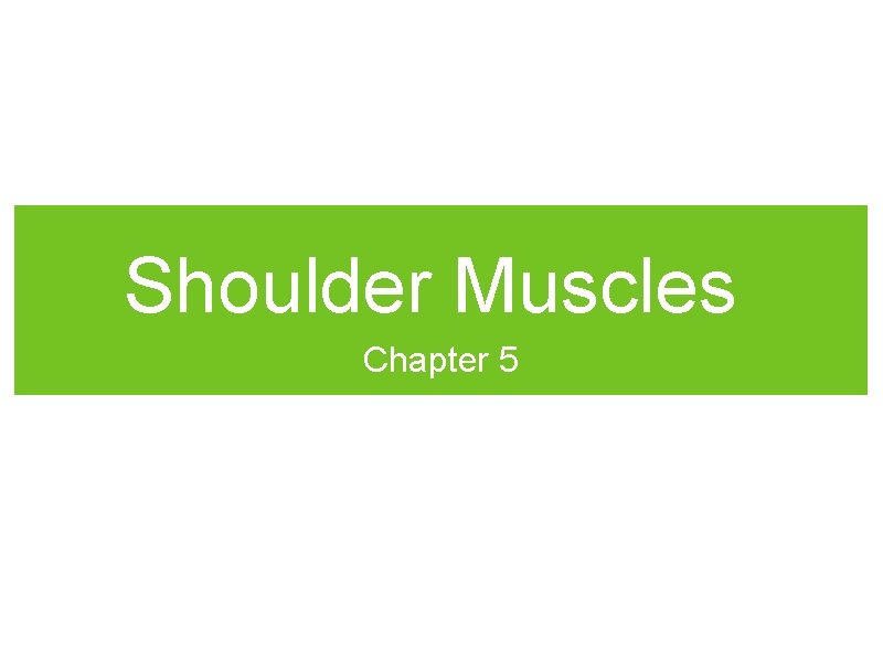 Shoulder Muscles Chapter 5 