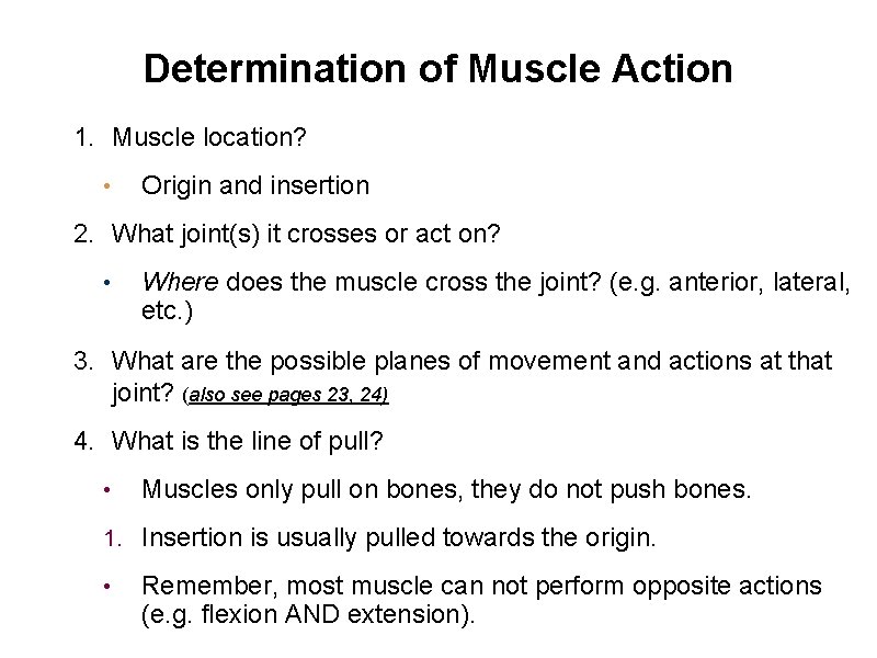 Determination of Muscle Action 1. Muscle location? • Origin and insertion 2. What joint(s)