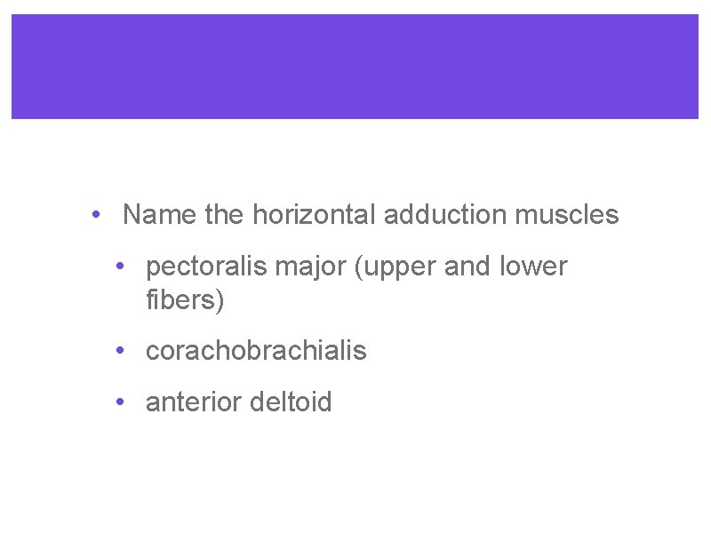  • Name the horizontal adduction muscles • pectoralis major (upper and lower fibers)