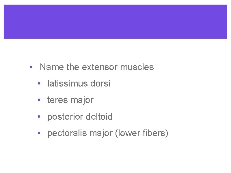  • Name the extensor muscles • latissimus dorsi • teres major • posterior