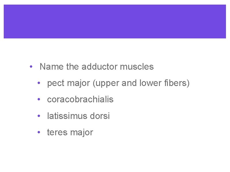  • Name the adductor muscles • pect major (upper and lower fibers) •