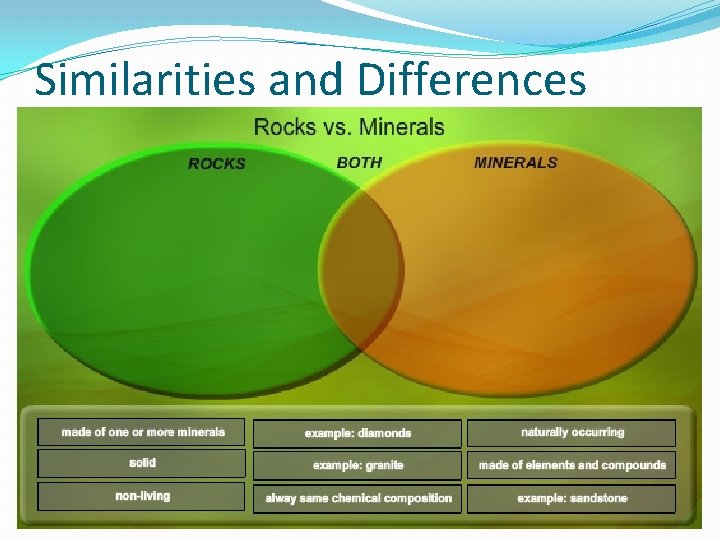 Similarities and Differences 