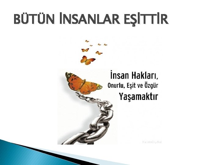 BÜTÜN İNSANLAR EŞİTTİR 