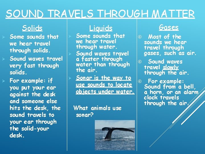 SOUND TRAVELS THROUGH MATTER Solids Ø Ø Ø Some sounds that we hear travel