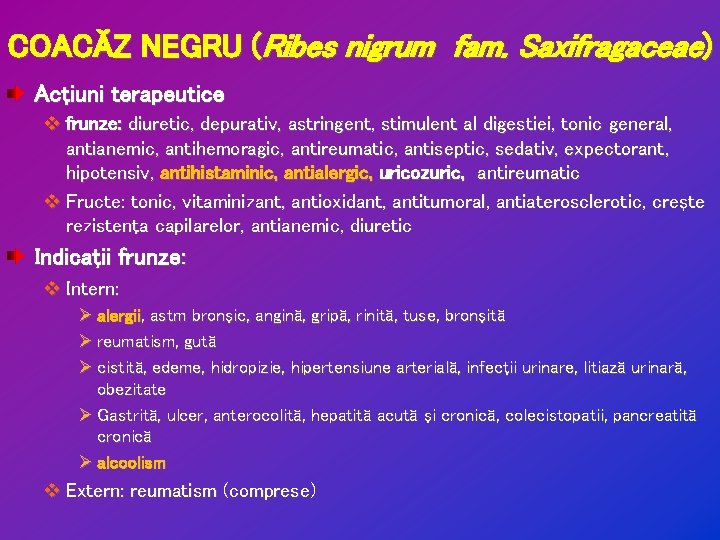 COACĂZ NEGRU (Ribes nigrum fam. Saxifragaceae) Acţiuni terapeutice v frunze: diuretic, depurativ, astringent, stimulent