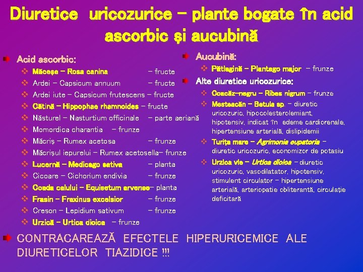 Diuretice uricozurice – plante bogate în acid ascorbic şi aucubină Acid ascorbic: v v