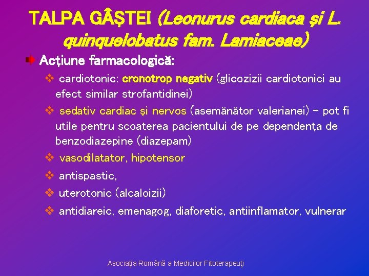 TALPA G ŞTEI (Leonurus cardiaca şi L. quinquelobatus fam. Lamiaceae) Acţiune farmacologică: v cardiotonic: