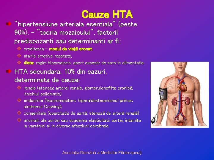 Cauze HTA "hipertensiune arteriala esentiala" (peste 90%). - "teoria mozaicului", factorii predispozanti sau determinanti