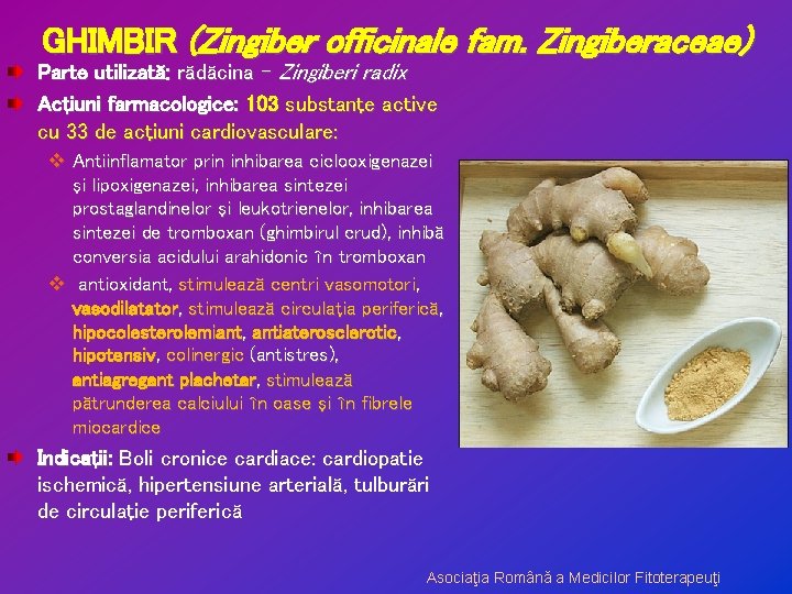 GHIMBIR (Zingiber officinale fam. Zingiberaceae) Parte utilizată: rădăcina – Zingiberi radix Acţiuni farmacologice: 103