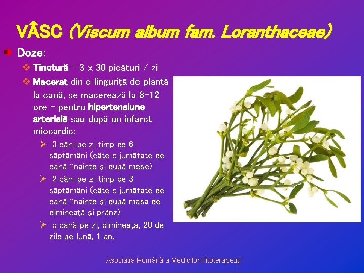 V SC (Viscum album fam. Loranthaceae) Doze: v Tinctură – 3 x 30 picături