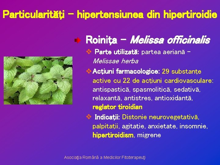 Particularităţi – hipertensiunea din hipertiroidie Roiniţa – Melissa officinalis v Parte utilizată: partea aeriană