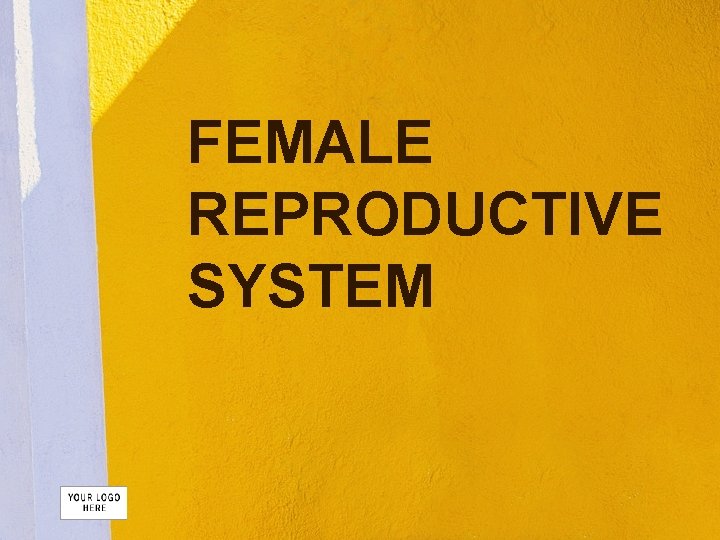 FEMALE REPRODUCTIVE SYSTEM 