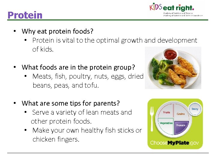 Protein • Why eat protein foods? • Protein is vital to the optimal growth