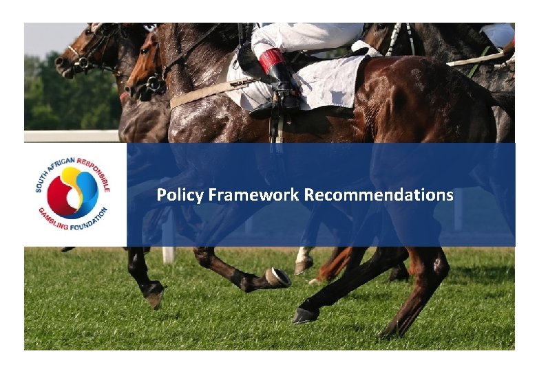 Policy Framework Recommendations 