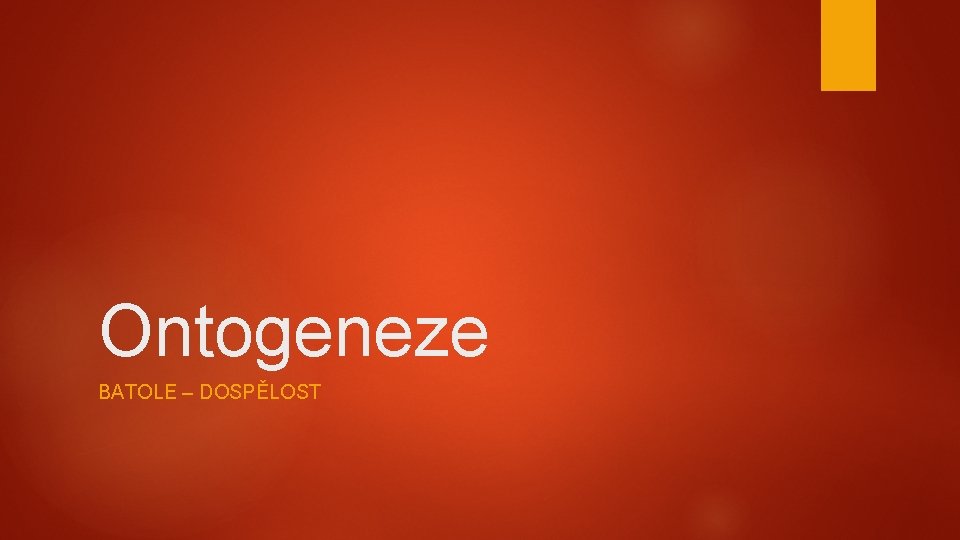 Ontogeneze BATOLE – DOSPĚLOST 