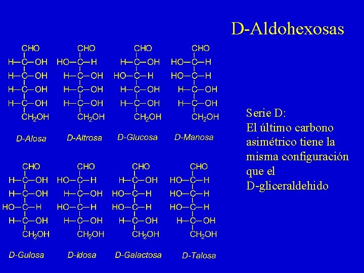 D-Aldohexosas Serie D: El último carbono asimétrico tiene la misma configuración que el D-gliceraldehido D-Aldohexosas Serie D: El último carbono asimétrico tiene la misma configuración que el D-gliceraldehido