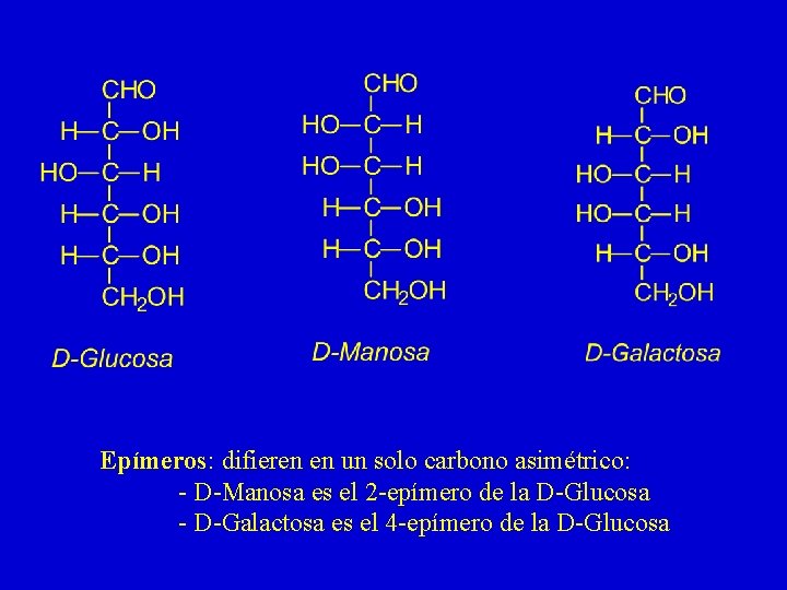 Epímeros: difieren en un solo carbono asimétrico: - D-Manosa es el 2 -epímero de Epímeros: difieren en un solo carbono asimétrico: - D-Manosa es el 2 -epímero de