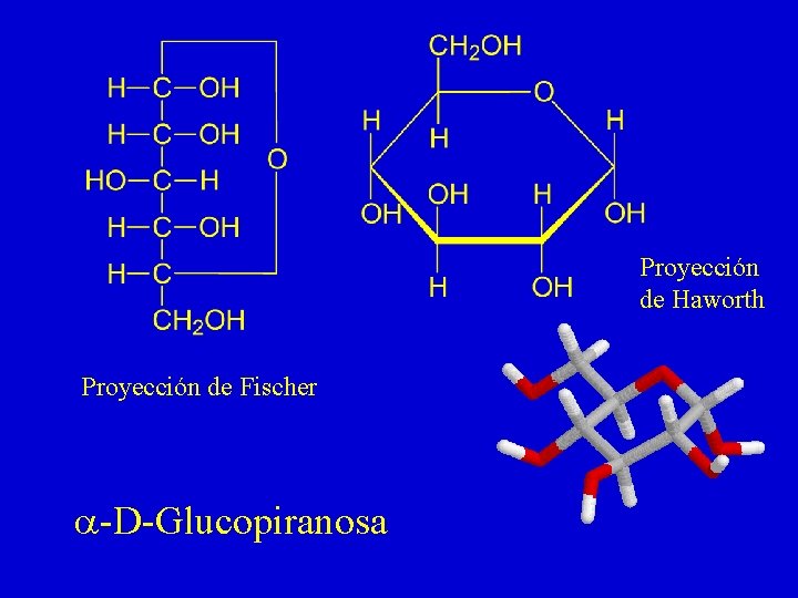 Proyección de Haworth Proyección de Fischer a-D-Glucopiranosa Proyección de Haworth Proyección de Fischer a-D-Glucopiranosa