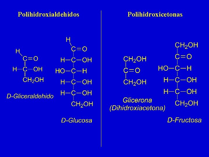 Polihidroxialdehidos Polihidroxicetonas Polihidroxialdehidos Polihidroxicetonas