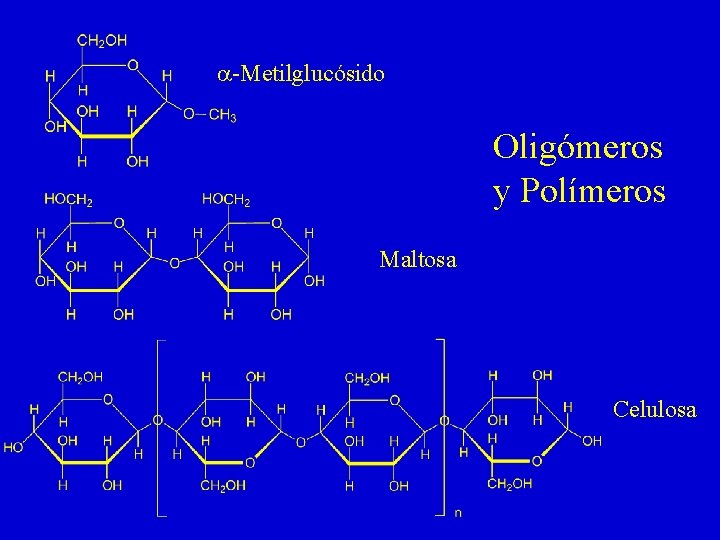 a-Metilglucósido Oligómeros y Polímeros Maltosa Celulosa a-Metilglucósido Oligómeros y Polímeros Maltosa Celulosa
