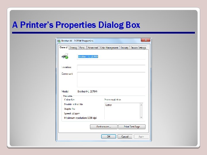 A Printer’s Properties Dialog Box 