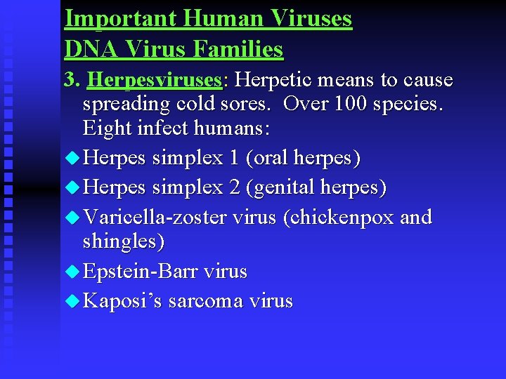 Important Human Viruses DNA Virus Families 3. Herpesviruses: Herpetic means to cause spreading cold