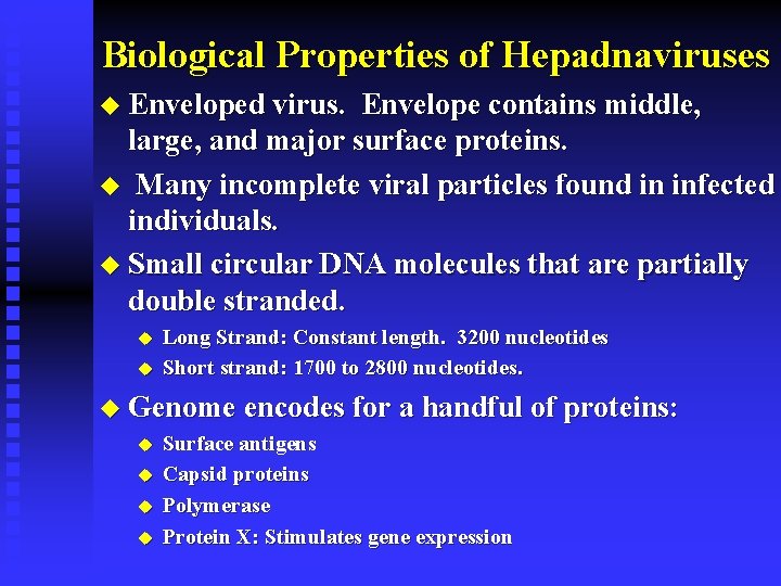 Biological Properties of Hepadnaviruses u Enveloped virus. Envelope contains middle, large, and major surface