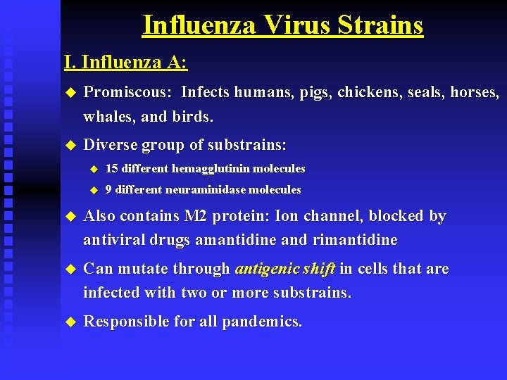 Influenza Virus Strains I. Influenza A: u Promiscous: Infects humans, pigs, chickens, seals, horses,