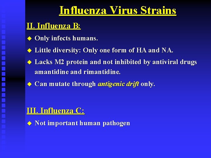 Influenza Virus Strains II. Influenza B: u Only infects humans. u Little diversity: Only