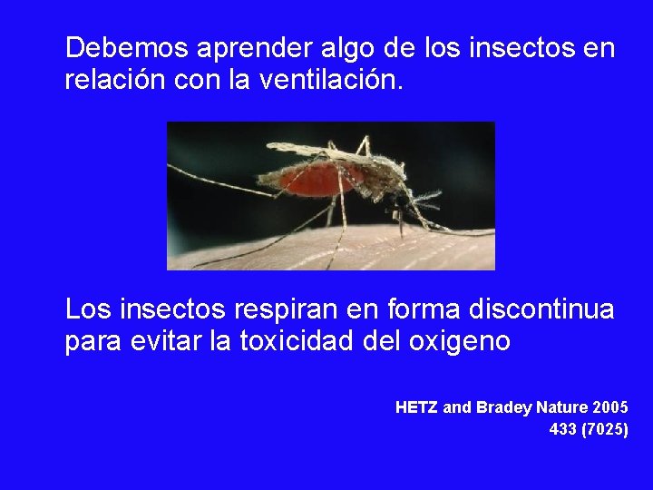 Debemos aprender algo de los insectos en relación con la ventilación. Los insectos respiran