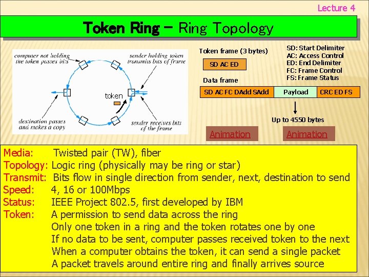 Lecture 4 Token Ring - Ring Topology Token frame (3 bytes) SD AC ED