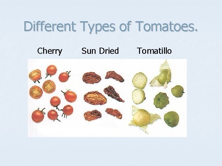 Different Types of Tomatoes. Cherry Sun Dried Tomatillo 