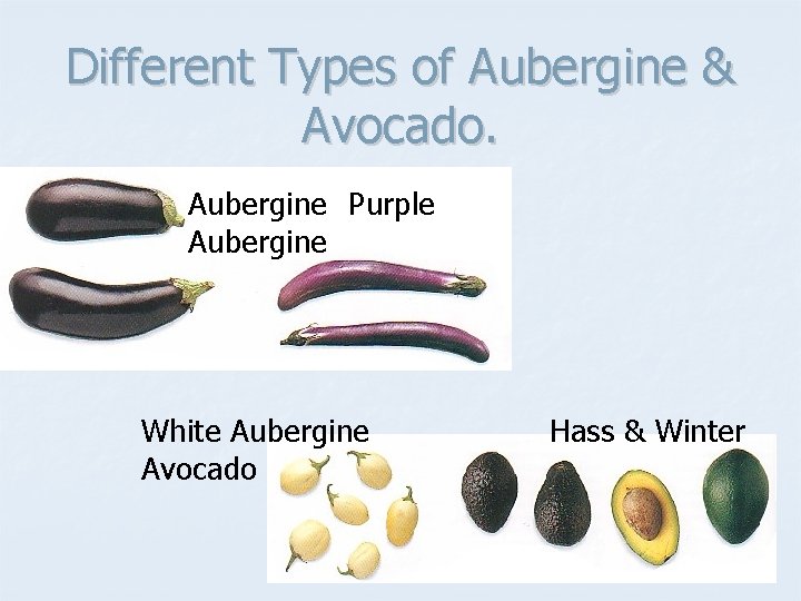 Different Types of Aubergine & Avocado. Aubergine Purple Aubergine White Aubergine Avocado Hass &