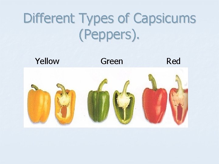 Different Types of Capsicums (Peppers). Yellow Green Red 