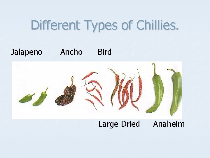 Different Types of Chillies. Jalapeno Ancho Bird Large Dried Anaheim 