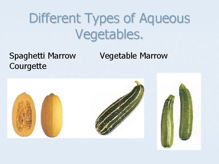 Different Types of Aqueous Vegetables. Spaghetti Marrow Courgette Vegetable Marrow 