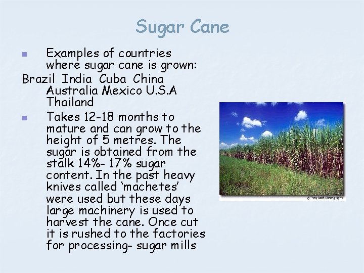 Sugar Cane Examples of countries where sugar cane is grown: Brazil India Cuba China