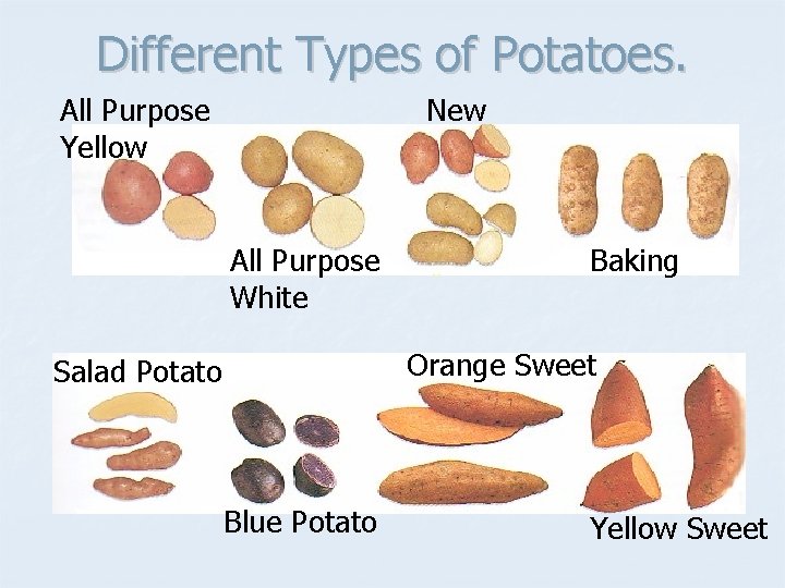 Different Types of Potatoes. All Purpose Yellow New All Purpose White Baking Orange Sweet