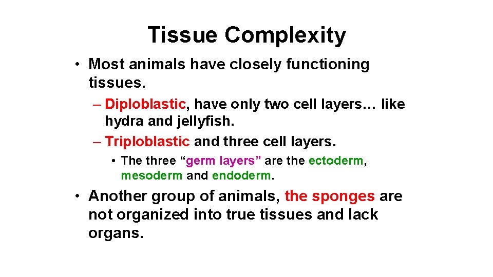 Tissue Complexity • Most animals have closely functioning tissues. – Diploblastic, have only two
