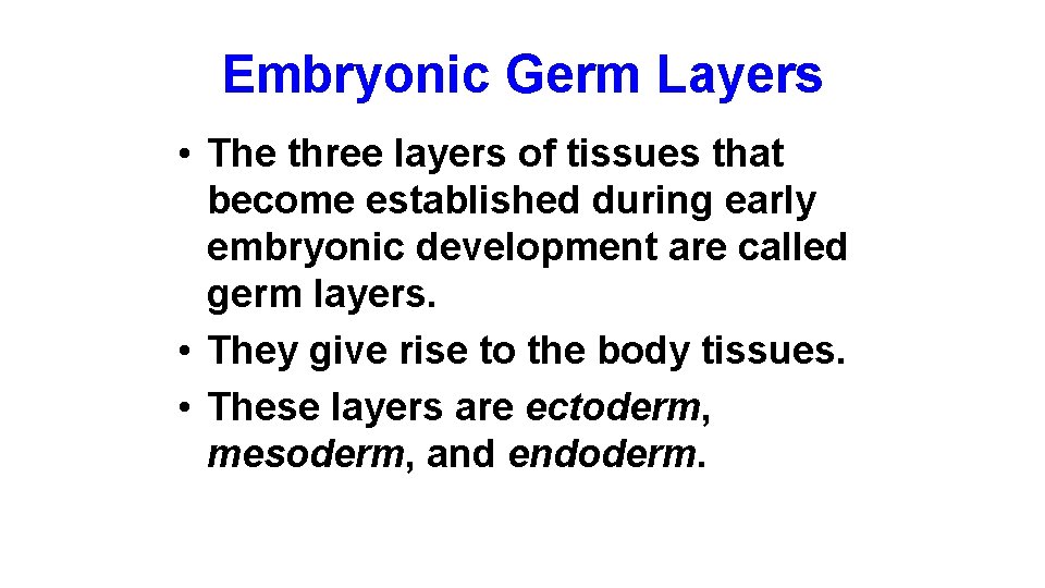 Embryonic Germ Layers • The three layers of tissues that become established during early
