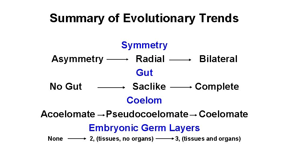 Summary of Evolutionary Trends Symmetry Asymmetry Radial Bilateral Gut No Gut Saclike Complete Coelom