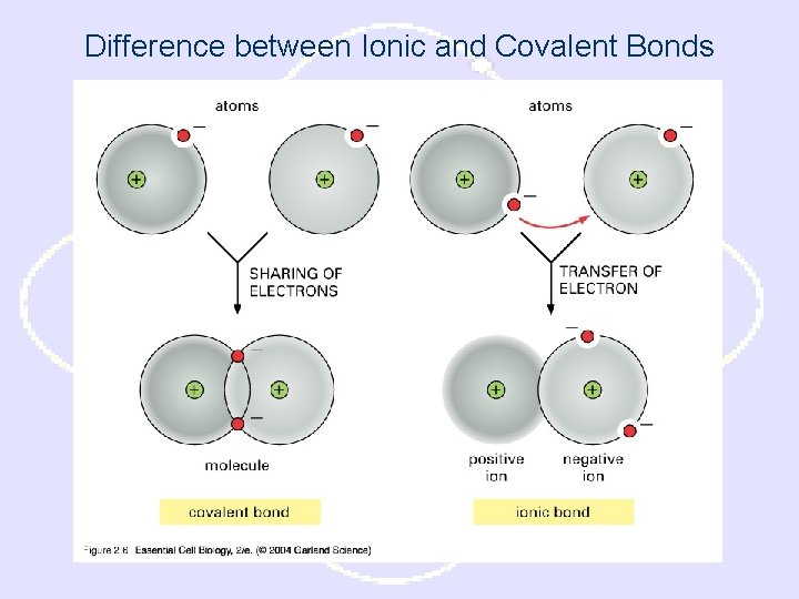 Difference between Ionic and Covalent Bonds 