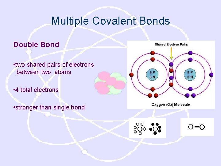 Multiple Covalent Bonds Double Bond • two shared pairs of electrons between two atoms