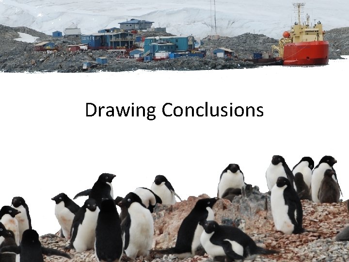 Drawing Conclusions 