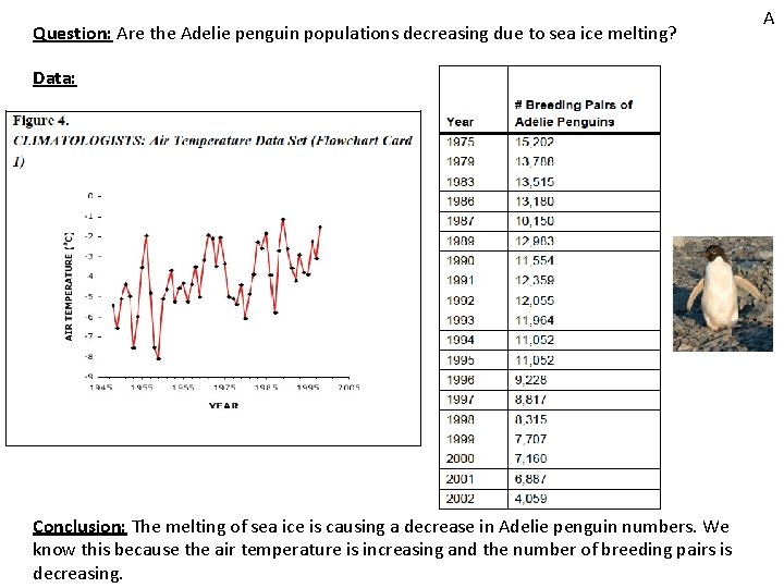 Question: Are the Adelie penguin populations decreasing due to sea ice melting? Data: Conclusion: