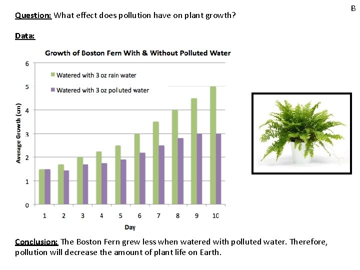Question: What effect does pollution have on plant growth? Data: Conclusion: The Boston Fern