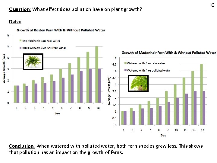 Question: What effect does pollution have on plant growth? Data: Conclusion: When watered with