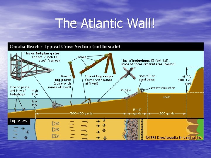 The Atlantic Wall! 